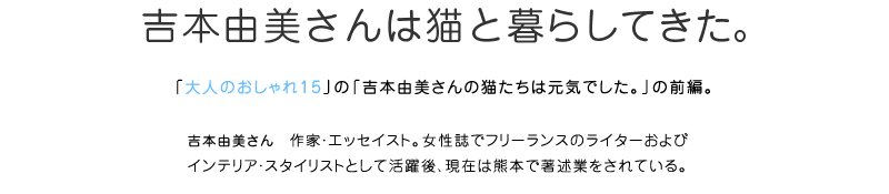 吉本由美さんは猫と暮らしてきた。